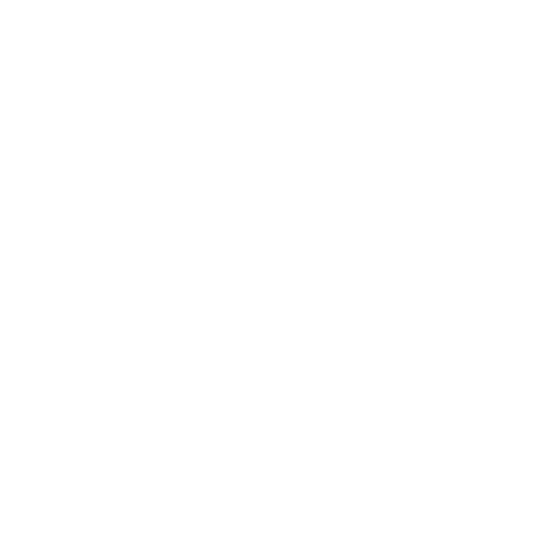 digimaxie
